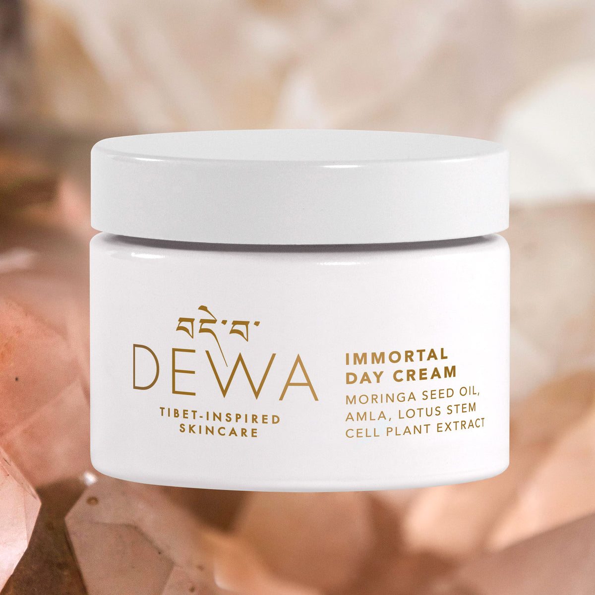 DEWA_COLLECTION_2_ImmortalDayC