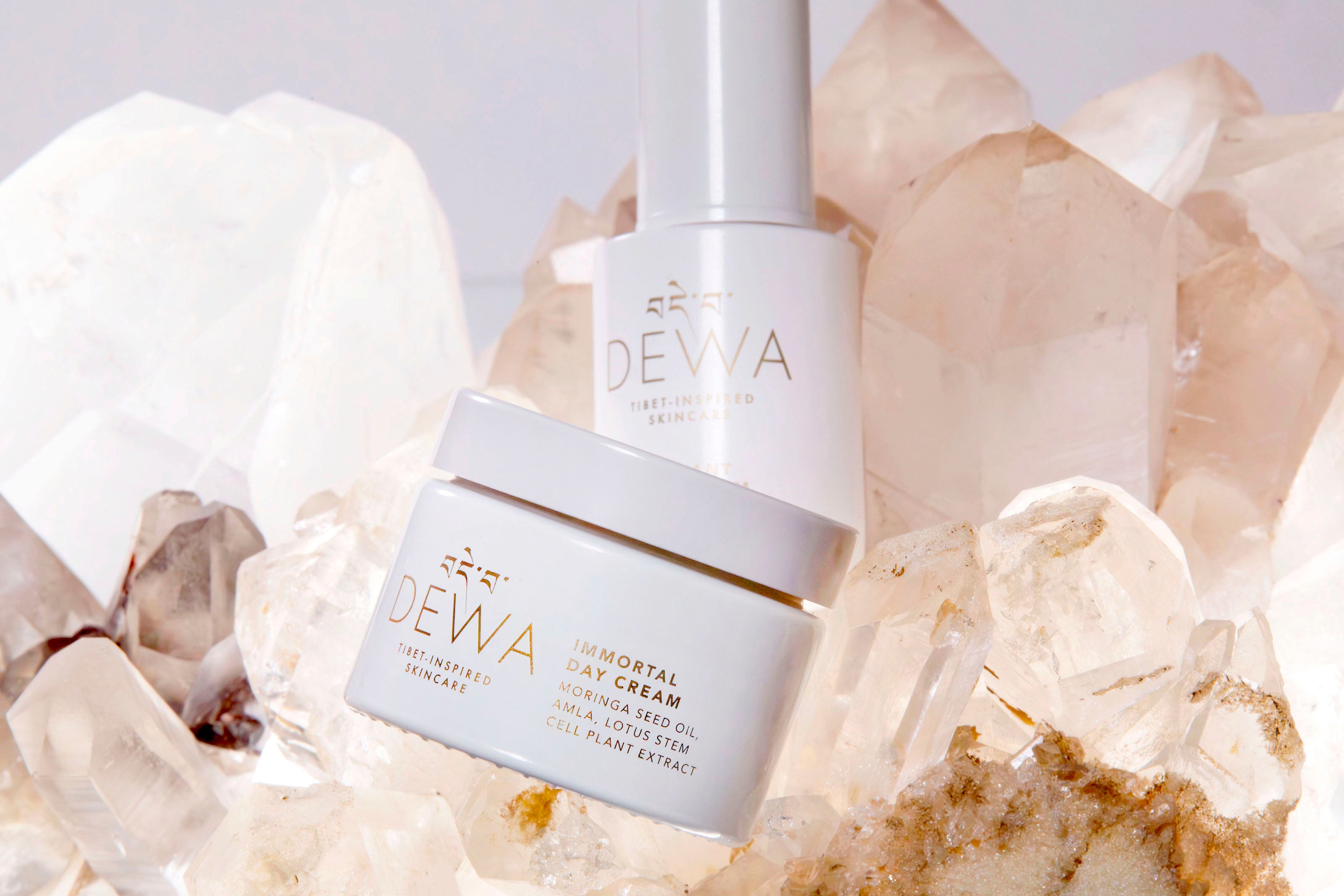 IMMORTAL DAY CREAM – My Store